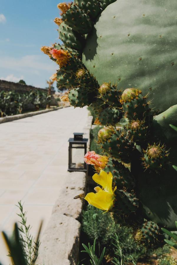 Masseria Paralupi Bed & Breakfast Lecce Exterior photo